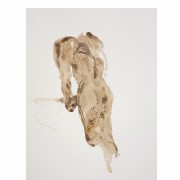 Série Pisseurs Pisseuses