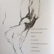 14 morceaux de la descente de croix