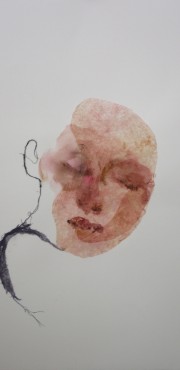 Série pétales de peaux