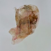 Série pétales de peaux