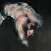 Série Les peaux emballées 