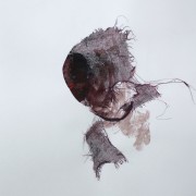 Série Pétales de peaux