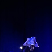 Les Pansées - WeBrain