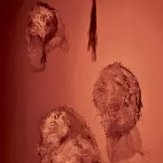 Les limbes - Musée d'anatomie humaine de Madrid