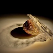 Ondes, l'os - Musée d'anatomie humaine de Madrid