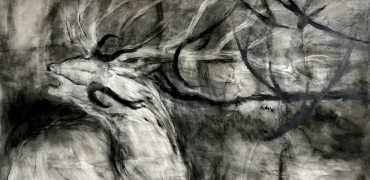 S&eacute;rie La peau des mondes