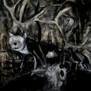 S&eacute;rie La peau des mondes