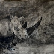 S&eacute;rie La peau des mondes