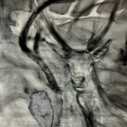 s&eacute;rie La peau des mondes